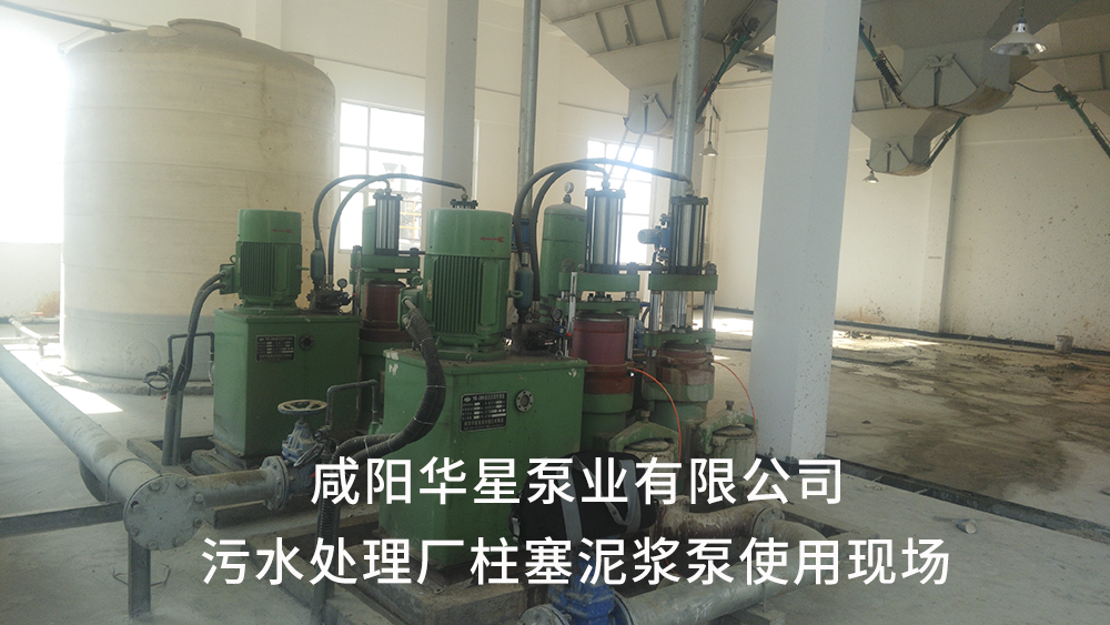 湖北仙桃污水处理厂2-水印