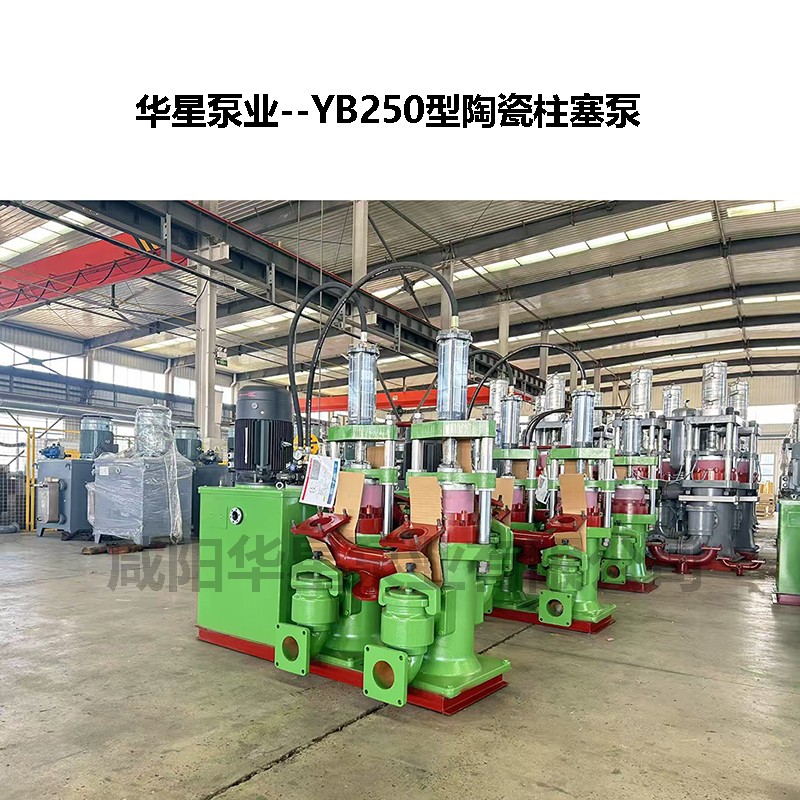 YB250节能型陶瓷柱塞泵-03 YB250节能型陶瓷柱塞泵-03